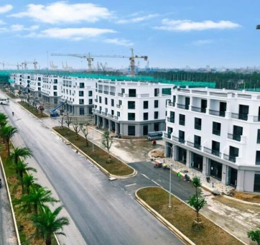 Sáp Nhập Hải Phòng - Hải Dương: Khởi Đầu Kỷ Nguyên Phồn Vinh Mới Cho Thành Phố Cảng